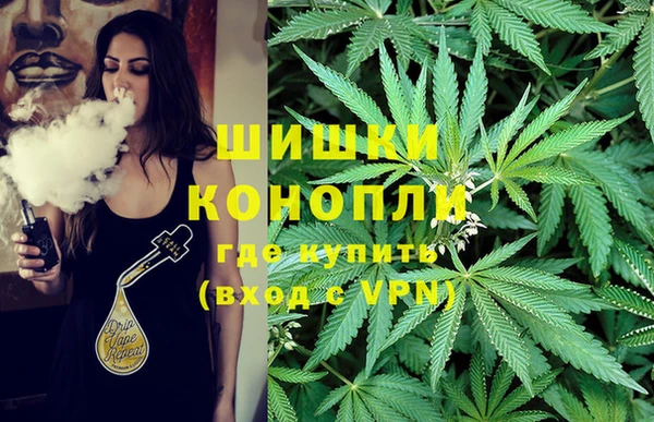 стаф Семёнов