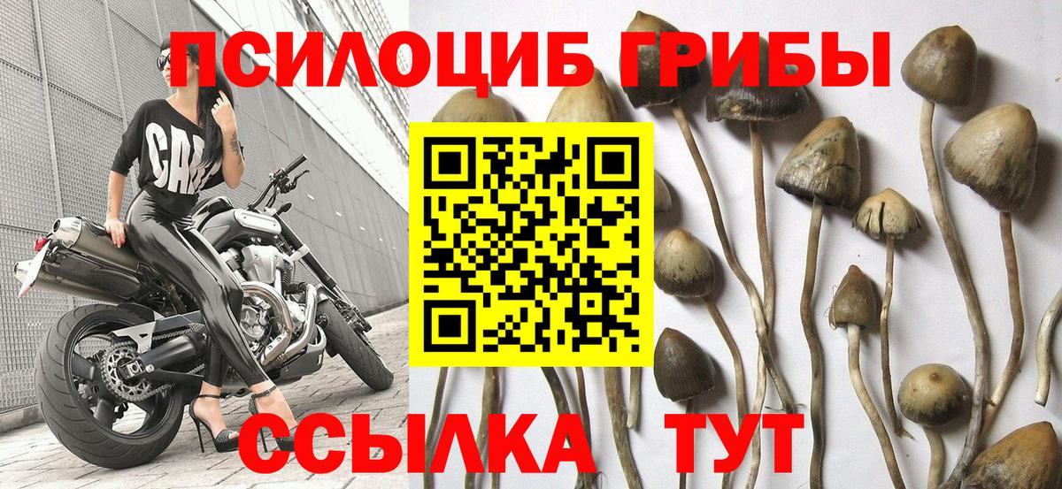 Бирск  Галлюциногенные грибы MAGIC MUSHROOMS  где найти наркотики  Вход с VPN 
